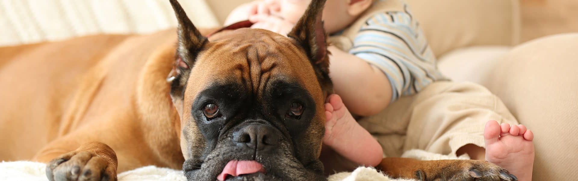 A dog with their tongue sitting beside a baby