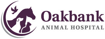 Oakbank Bird's Hill Animal Hospital